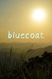 bluecoat