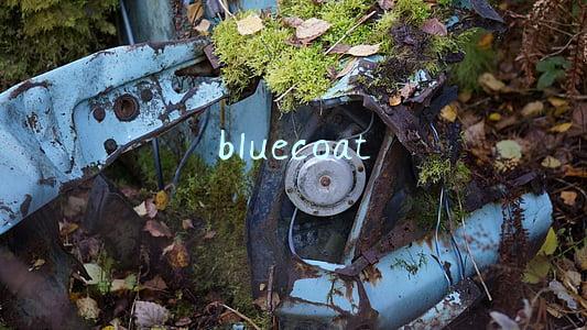 bluecoat