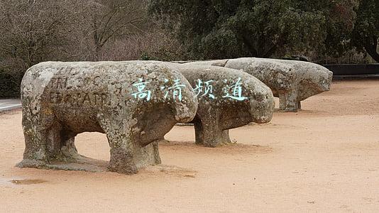 高清频道