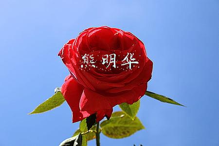 熊明华