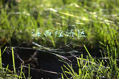 海西经济区发展规划(海西州：倾力实现“四地”建设宏伟蓝图)