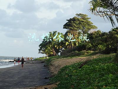流媒体电视