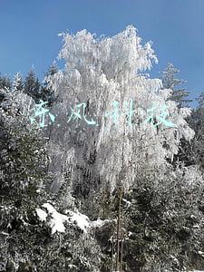 东风科技