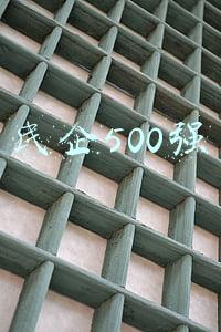 民企500强