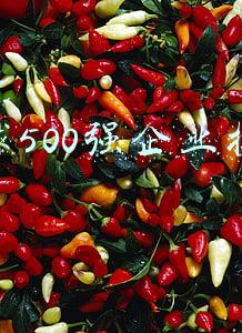 全球500强企业排名