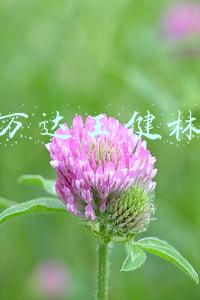 万达王健林