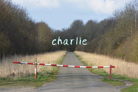 charlie