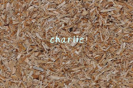 charlie