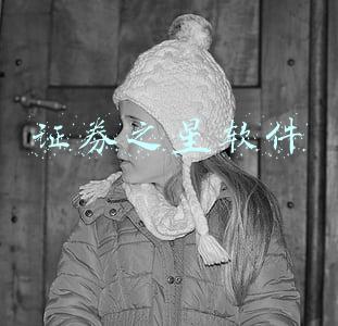 证券之星电脑版(证券之星APP)