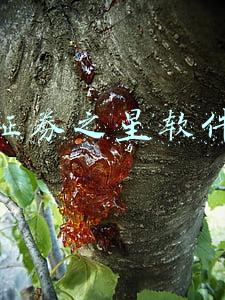 证券之星软件