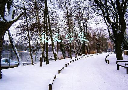 天文学家