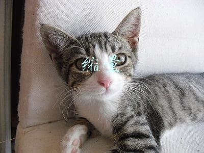 缩量