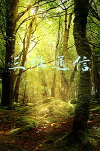 三维通信最新消息(三维通信股份有限公司 关于公司实际控制人及其一致行动人减持公司股份计划的提示性公告)