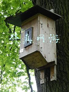 修真网游