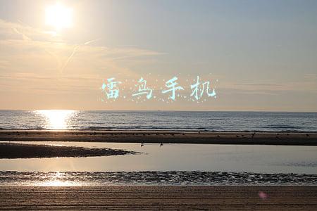 雷鸟手机