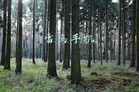 雷鸟手机是不是华为的(NZONE S7Pro手机是华为吗？看完这点你就明白了)