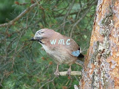 wmc