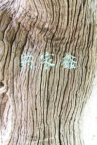 药家鑫