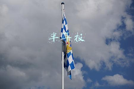 半年报