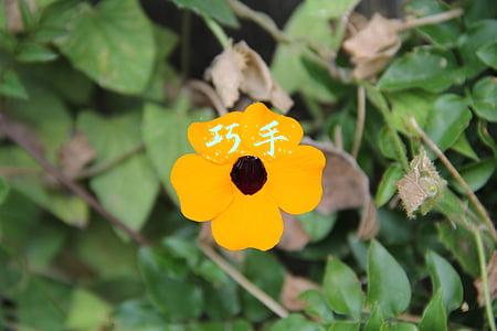 巧手
