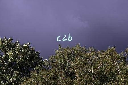 c2b