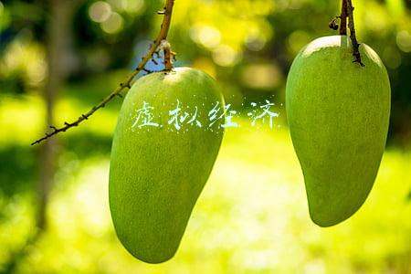 虚拟经济
