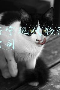 江苏新宁现代物流股份有限公司