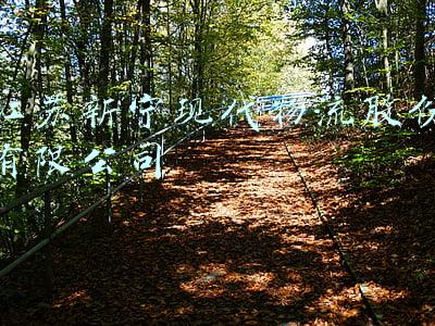 江苏新宁现代物流股份有限公司