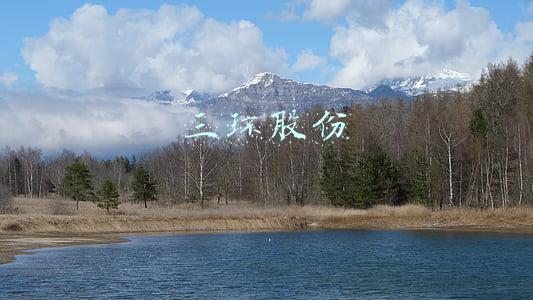 湖北三环股份(三环锻造被收购)