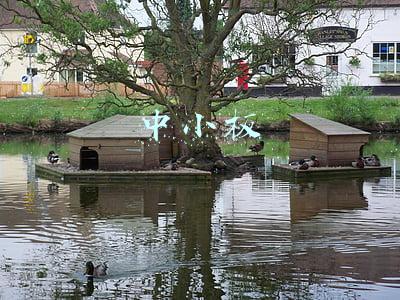 中小板