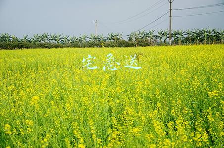 宅急送