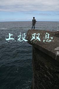 上投双息