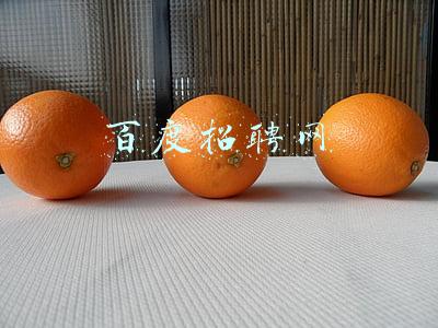 百度招聘网