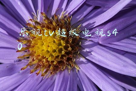乐视tv超级电视s40