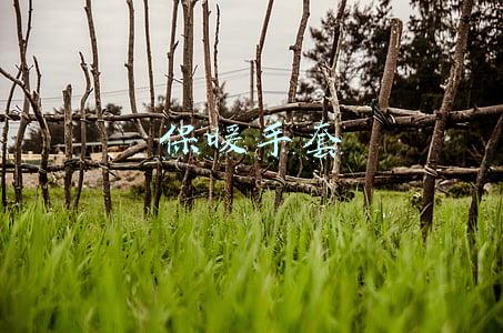 保暖手套