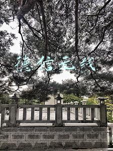 德信无线