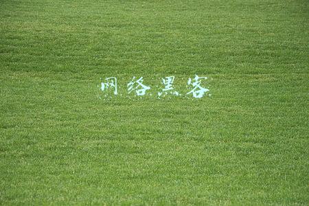 网络黑客24小时在线接单(细思极恐！那些潜伏在你身边的黑客)