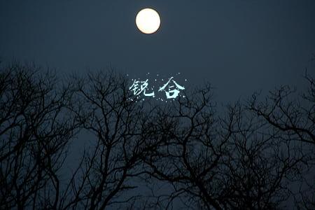 锐合讯北京网络加好友(沾边生殖领域“接近”药品专利池 美诺华还有多少热点可以蹭)