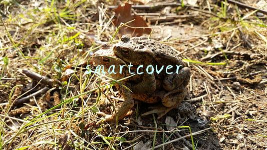 smartcover