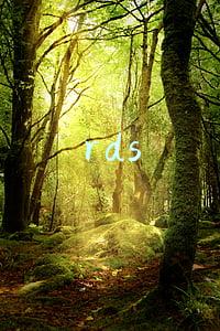 rds
