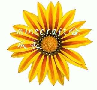 minecraft合成表快捷键(我的世界：老玩家“合成”建议来了！12张配方，木棍+铁锭=短锹？)