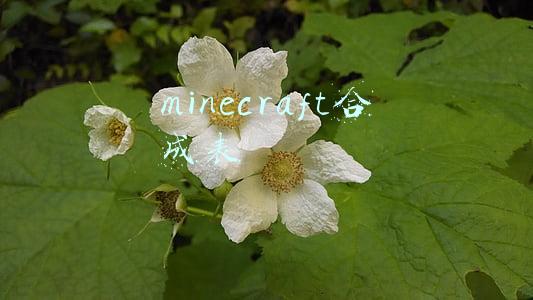 minecraft合成表