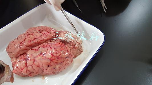 三级缓存