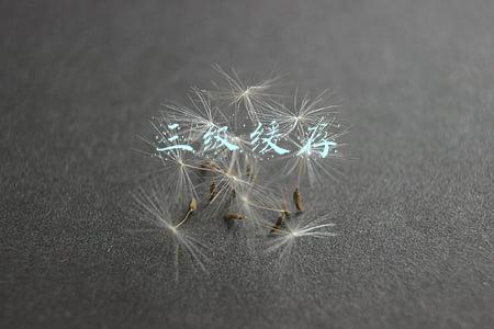 三级缓存