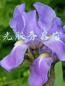 曙光服务器官网