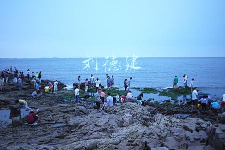 刘德建