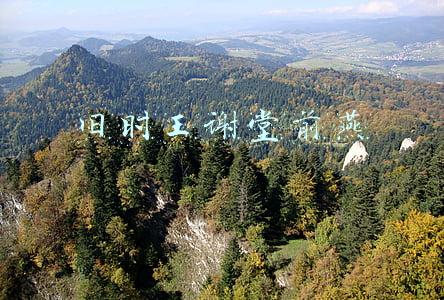 旧时王谢堂前燕