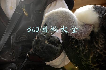 360团购大全