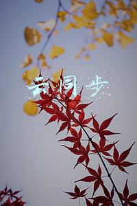 云同步