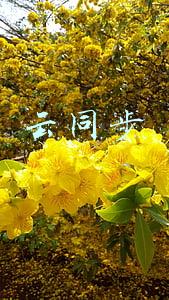 云同步